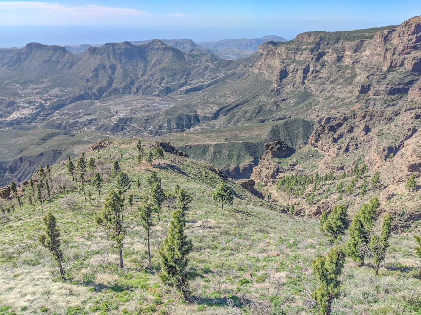 Aerial view of lush mountain forest covering the interior of Gran Canaria