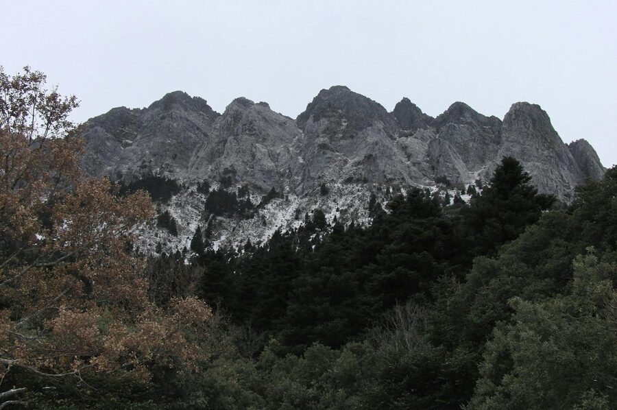 Rocky mountain peaks and forests in Grazalema Natural Park