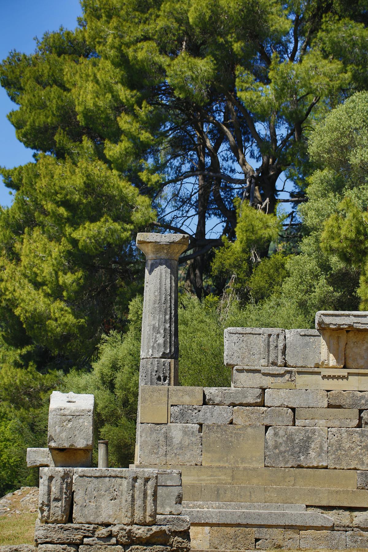 Ancient Greek ruins surrounded by trees