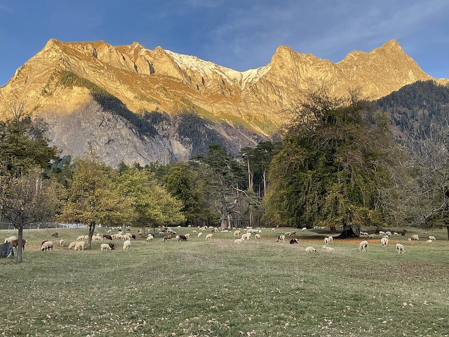 Heidiland Maienfeld Graubunden Switzerland
