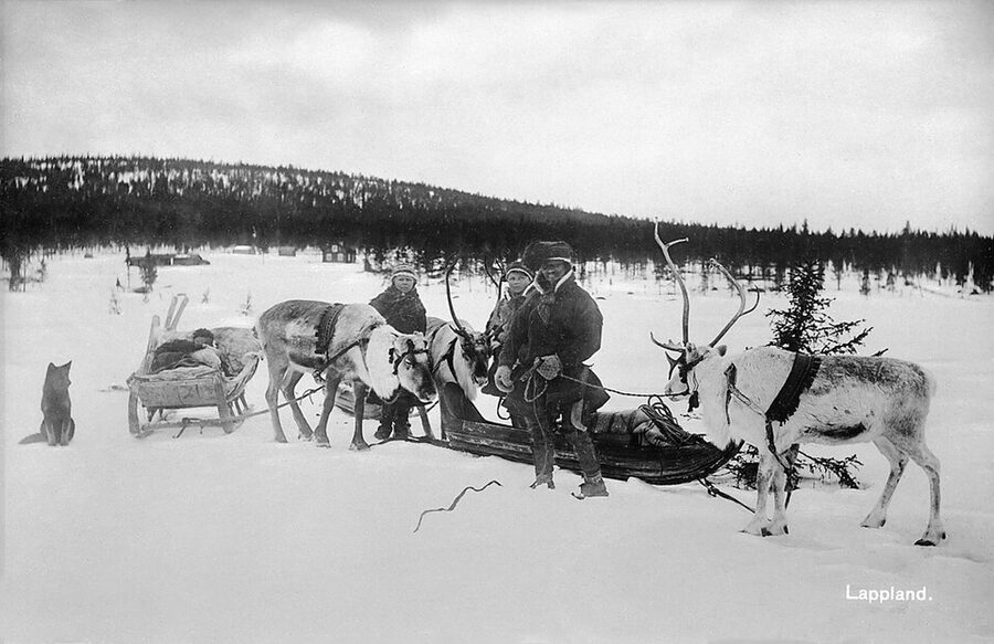 Historic photo of a Sami family with reindeer in Lapland, 1940