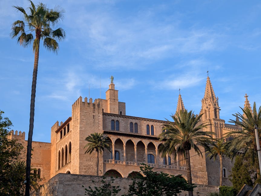 Gothic architecture in Palma de Mallorca with palm trees
