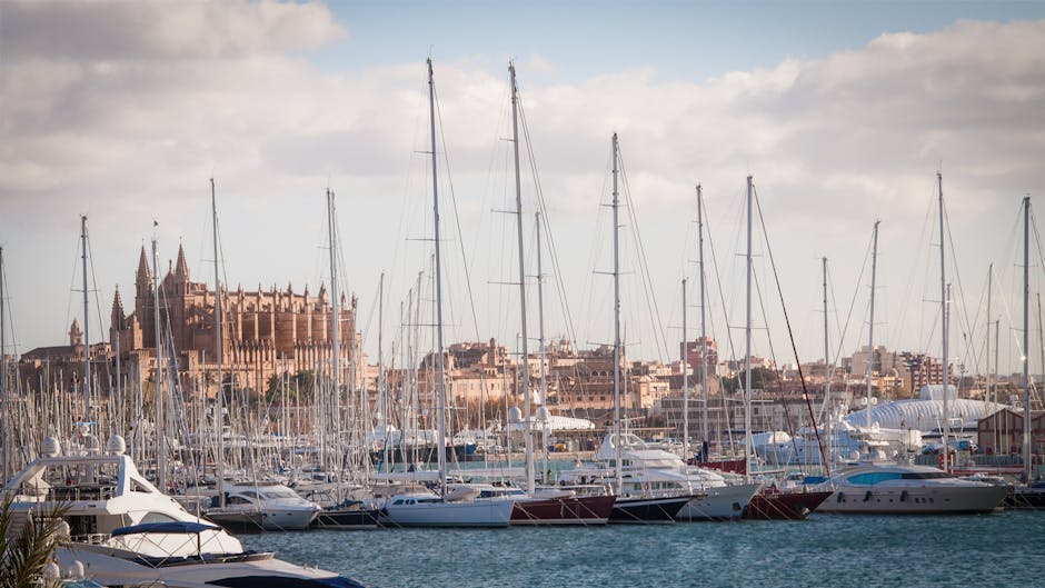 Yachts docked at Palma marina with the Cathedral in the background