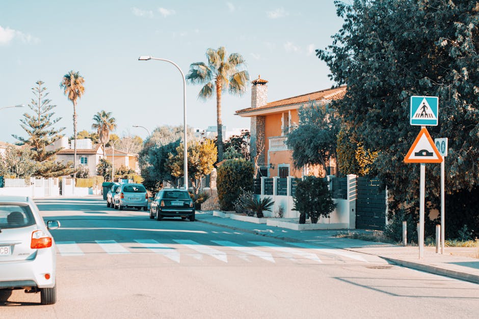 Sunny suburban street with palm trees in Palma de Mallorca