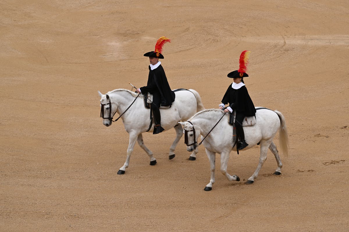 Two riders on white horses performing in traditional Spanish equestrian gear
