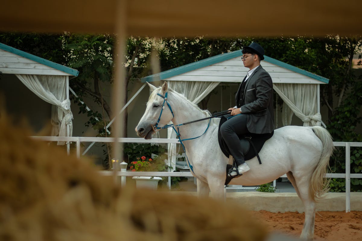 Elegant man riding a white horse at an equestrian facility