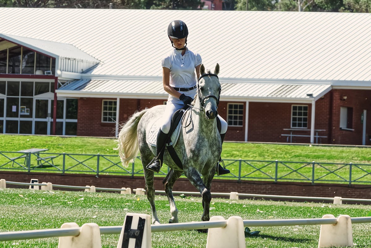 Equestrian rider performing dressage on grey horse near stable building
