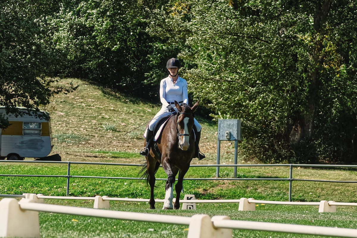 Woman riding horse in outdoor dressage arena surrounded by greenery