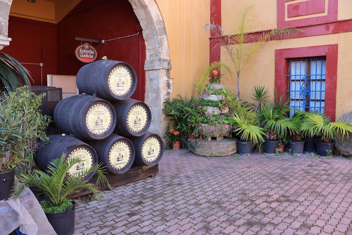 Rustic courtyard with stacked wine barrels and greenery in southern Spain