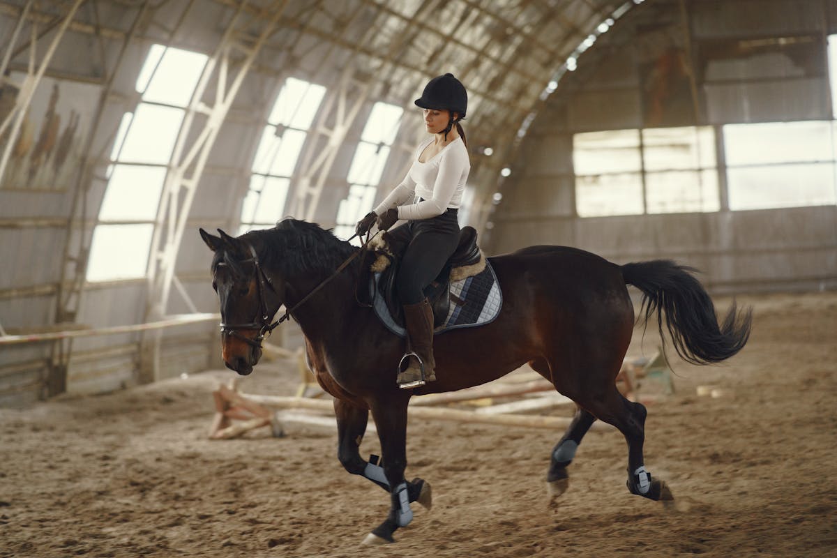 Woman practicing dressage with horse in indoor riding arena