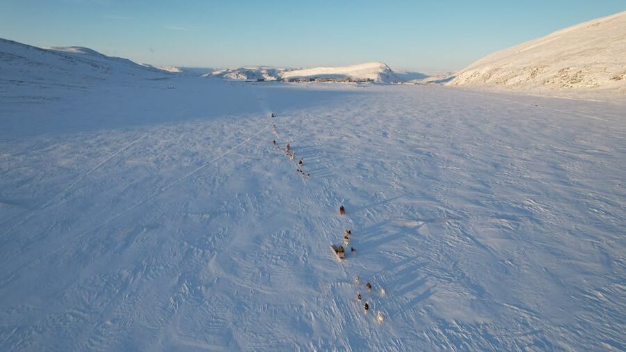Aerial shot of dog sled team across snow-covered field