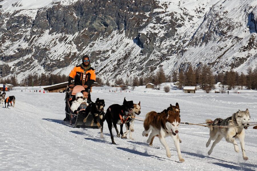 Dog sledding in snowy mountain landscape