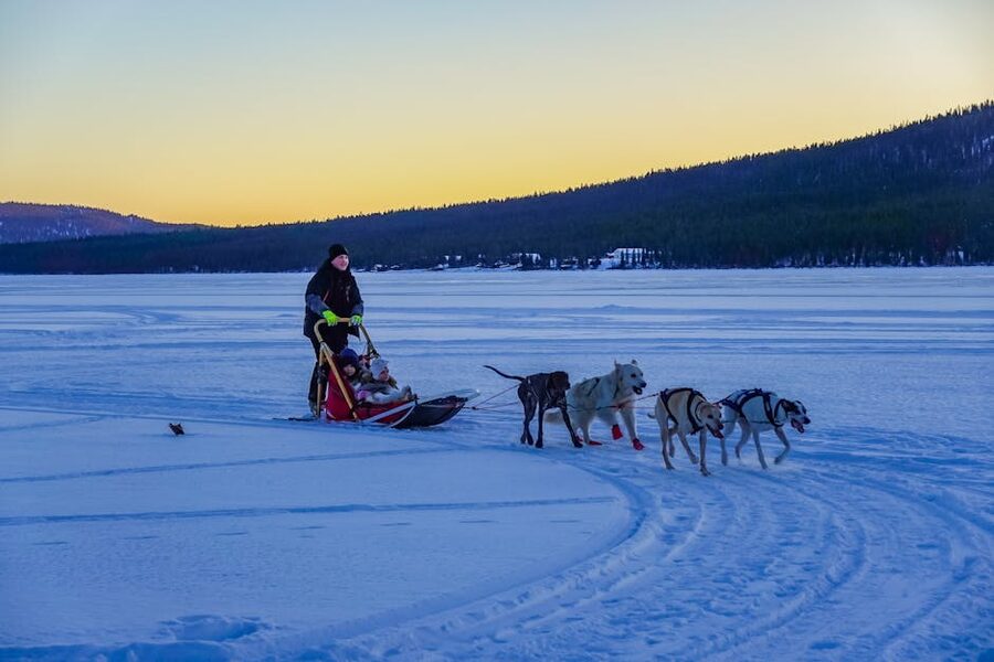Person dog sledding through frozen landscape during sunset with husky team