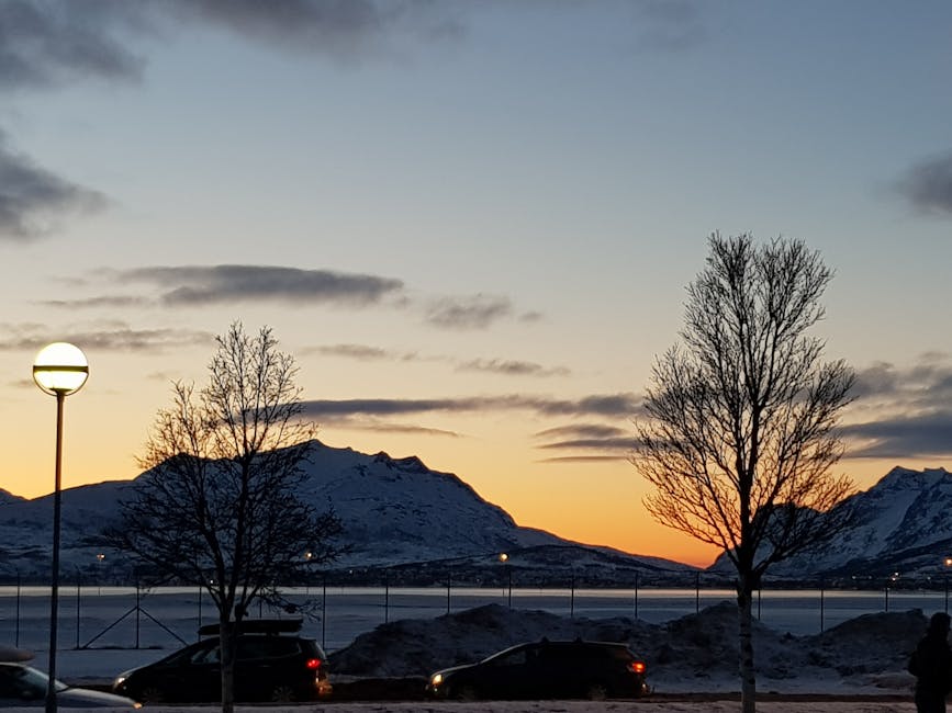 Tromso winter sunset over snow-covered mountains and silhouetted trees