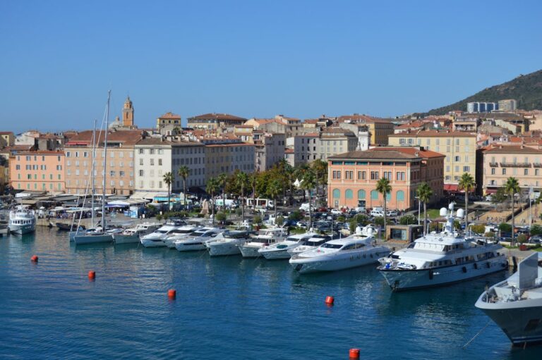 Ajaccio harbour with boats moored along the waterfront and mountains rising behind the town