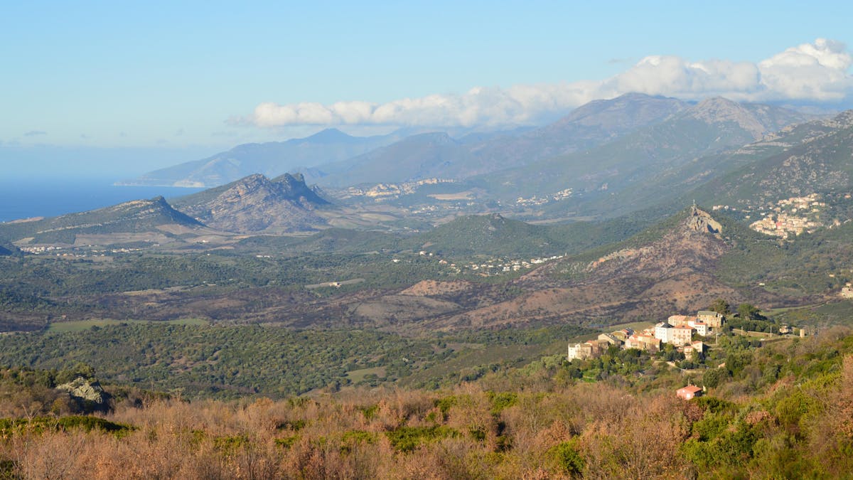 Corsican hills covered in dense green maquis scrubland meeting the coast