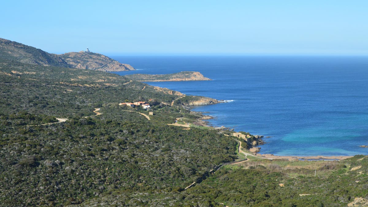 Corsica coastline with lush greenery and blue sea from above