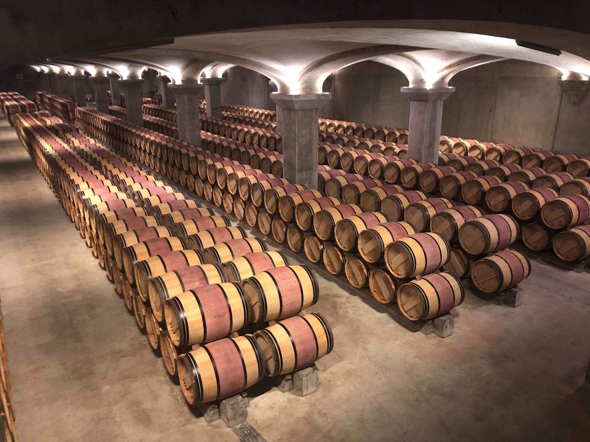 Rows of wooden wine barrels in a Margaux winery cellar in France