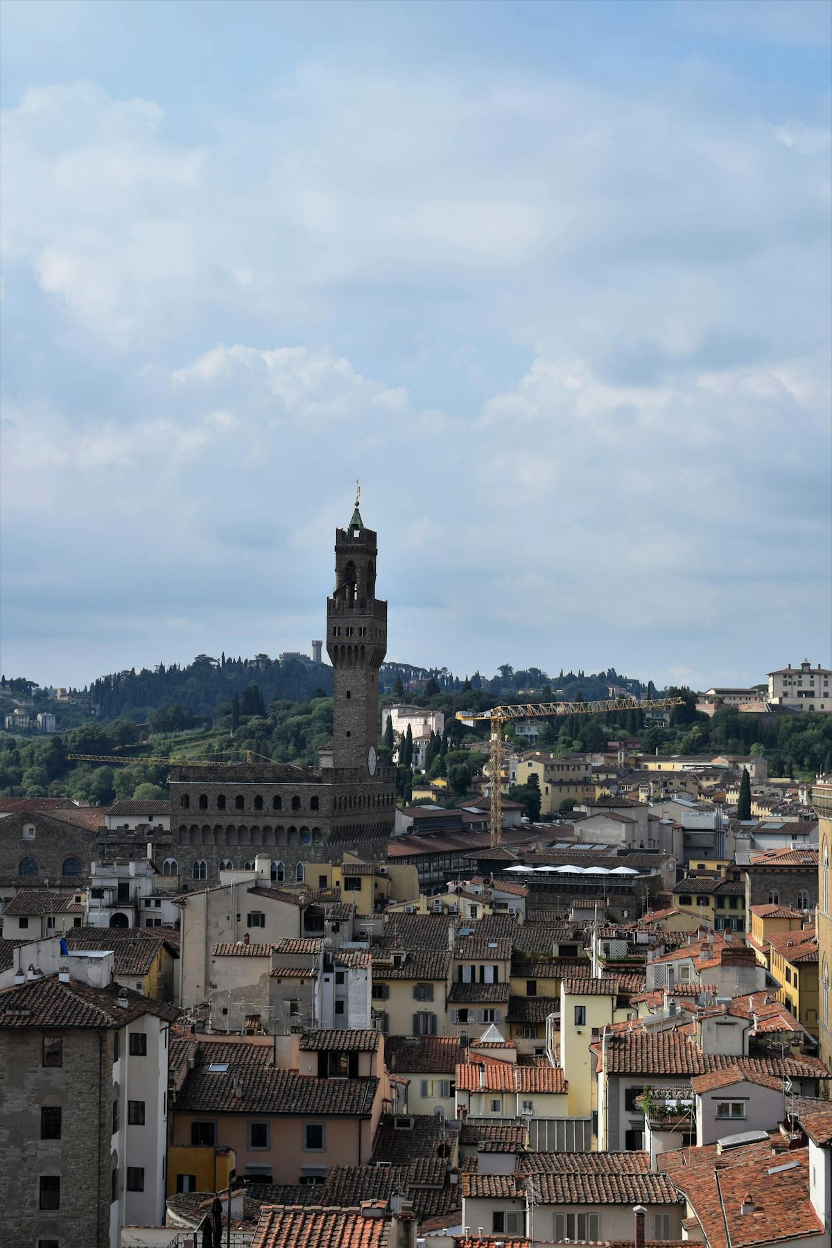 Florence skyline featuring Palazzo Vecchio tower among Tuscan hills