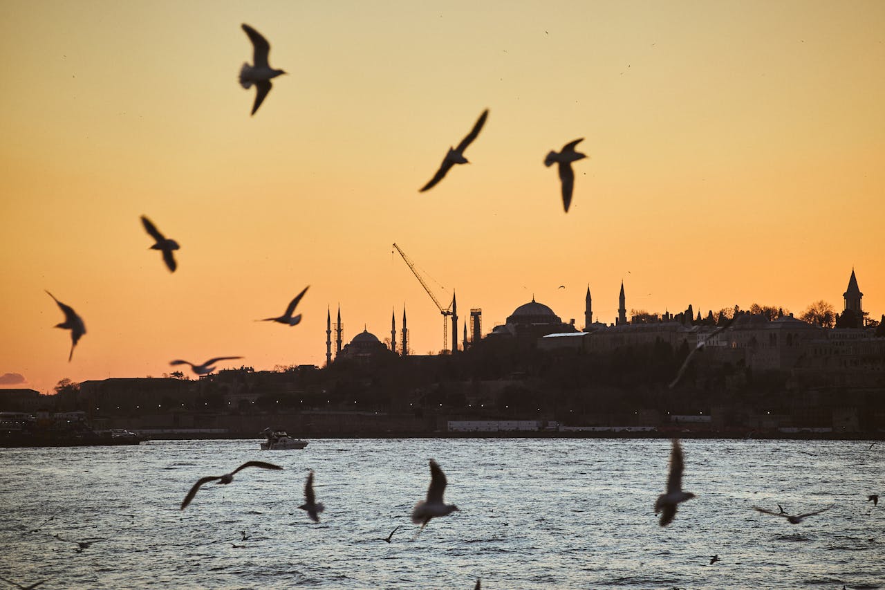 Istanbul skyline at sunset with seagulls over the Bosphorus
