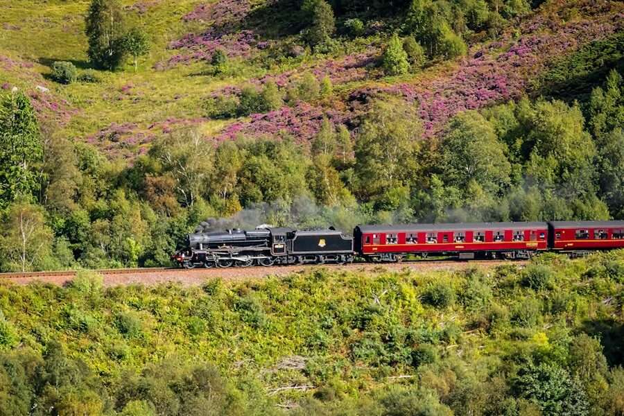 Steam locomotive Scottish Highlands green