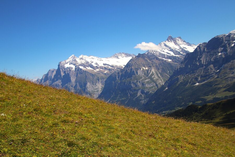 Summit view from Jungfraujoch with snow-covered Alpine peaks and glacier under blue sky
