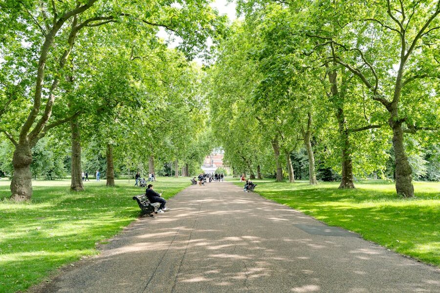 Kensington park summer benches