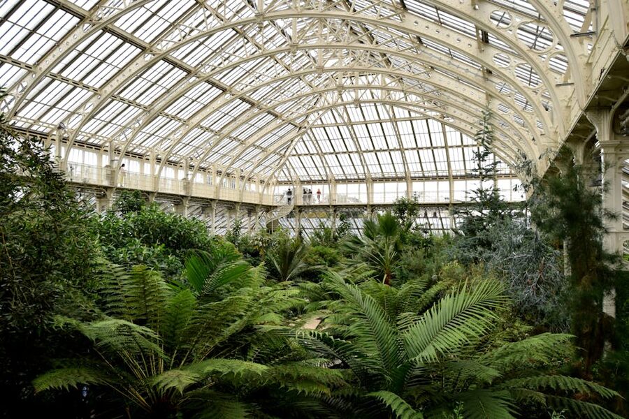 Kew Gardens greenhouse interior plants