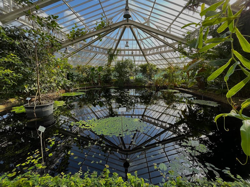 Tropical greenhouse plants pond