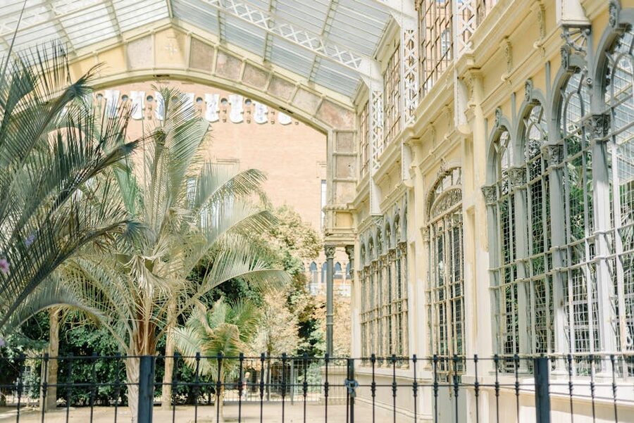 Victorian greenhouse palm trees