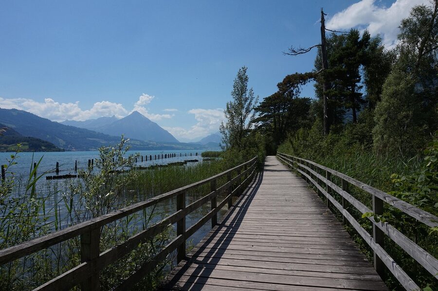 Lake Brienz shoreline with mountains and trees near Interlaken