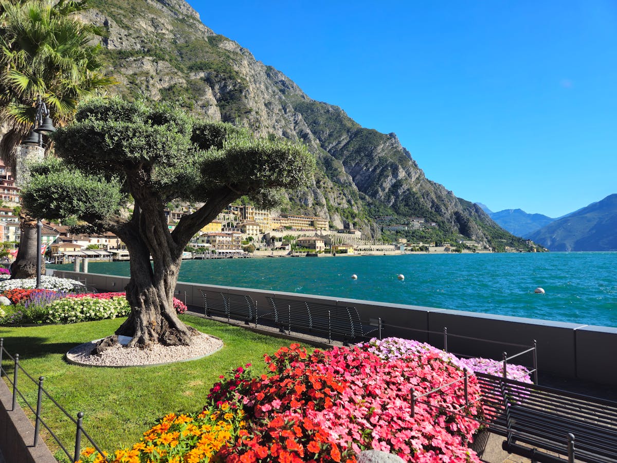 Vibrant flowers along a promenade at Lake Garda