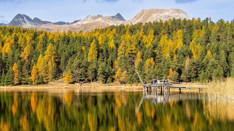Lake St Moritz autumn with colorful trees