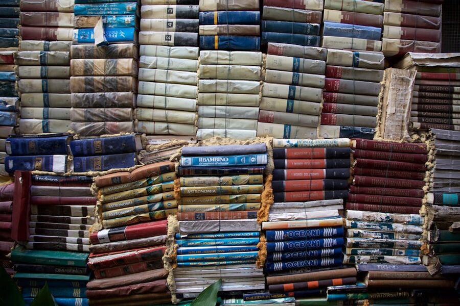 Vintage library wooden shelves