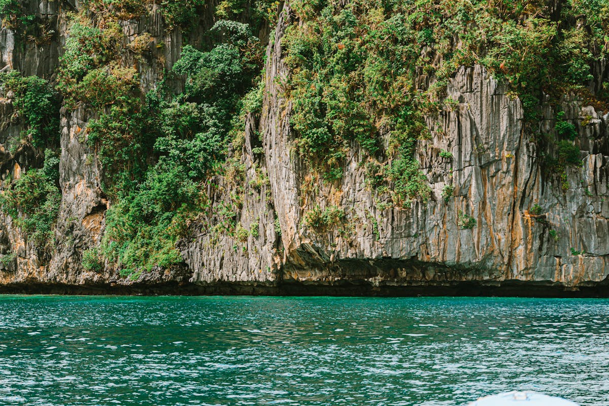 Limestone cliffs rising above turquoise water in the Calanques