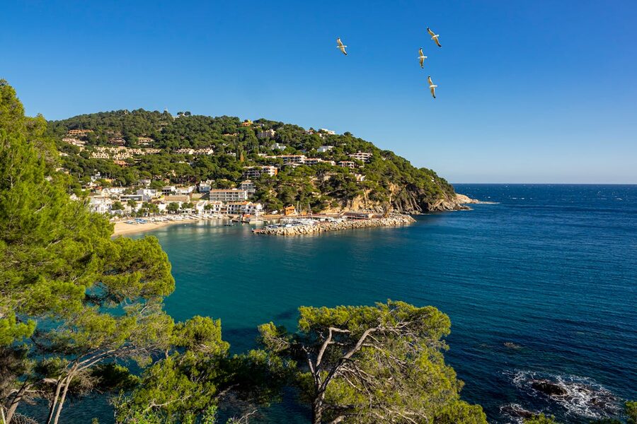 Aerial view of Llafranc beach and clear turquoise sea surrounded by green hills on the Costa Brava