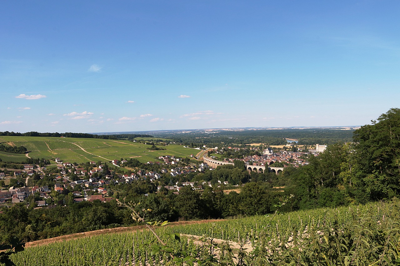 Vineyard rows in the Loire Valley near Sancerre with blue sky