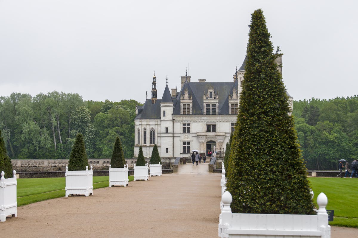Tree-lined walkway approaching Chateau de Chenonceau on a cloudy day