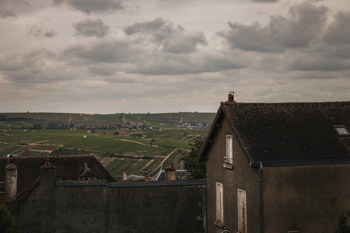 Vineyard landscape in Loire Valley with village rooftops and rolling hills