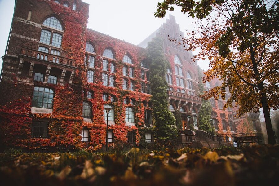Lund University Library facade with autumn ivy and fog