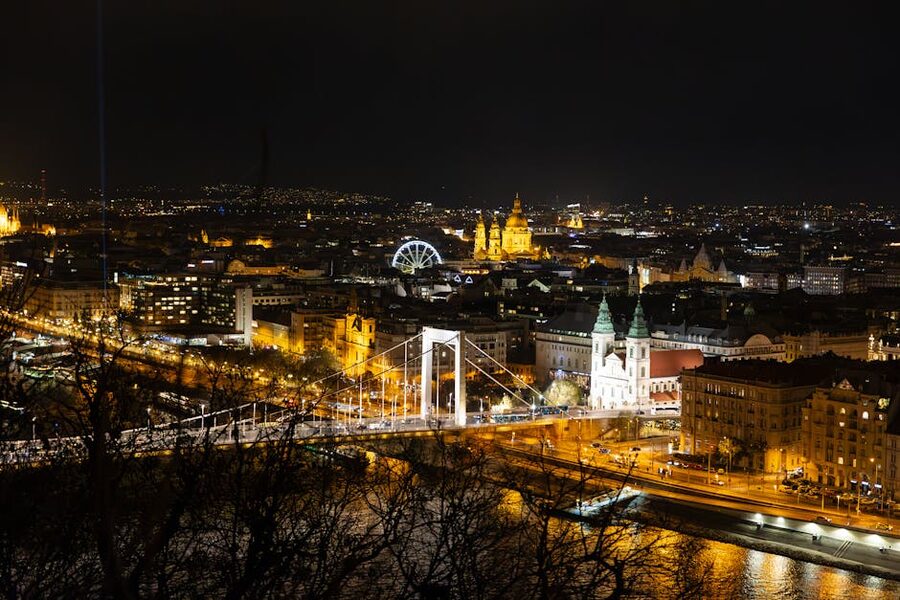 Elizabeth Bridge Budapest at night