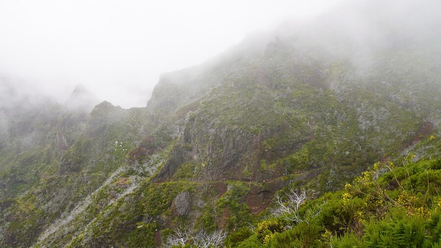 Madeira coastal landscape from Funchal