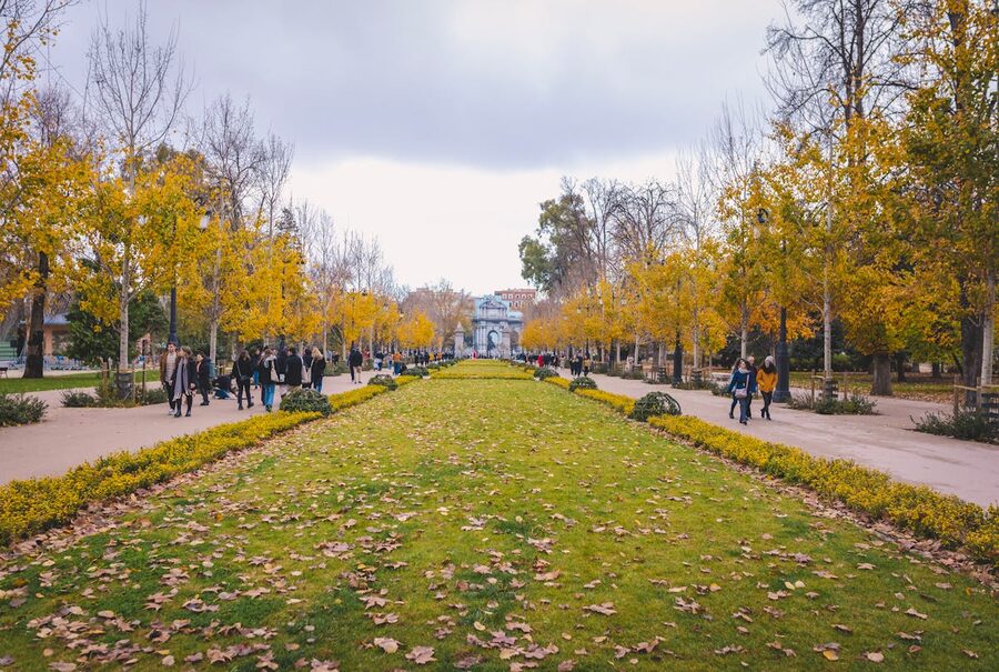 Autumn scene in Retiro Park Madrid with colorful trees