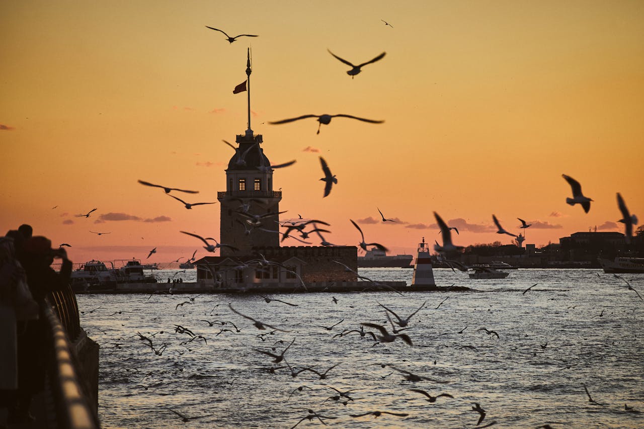 Silhouette of the Maiden's Tower at sunset with seagulls flying across the sky in Istanbul