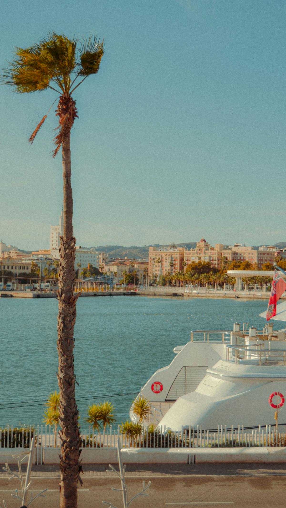 Malaga harbour with yachts palm trees and sunny summer atmosphere
