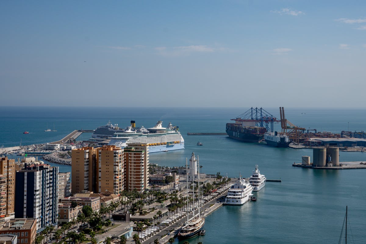The Malaga harbor promenade lined with palm trees and cruise ships docked along the Mediterranean waterfront