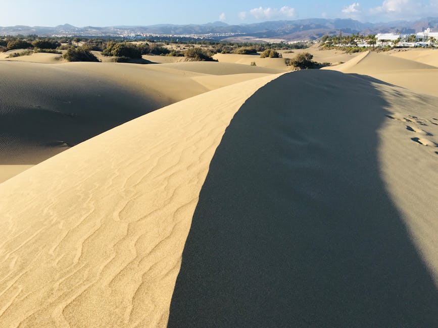 Golden sand dunes of Maspalomas under a clear blue sky in Gran Canaria