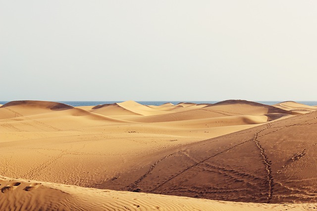 Rolling sand dunes at Maspalomas with walking paths in Gran Canaria