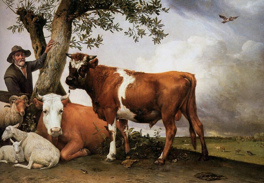 Young Bull by Paulus Potter 1647