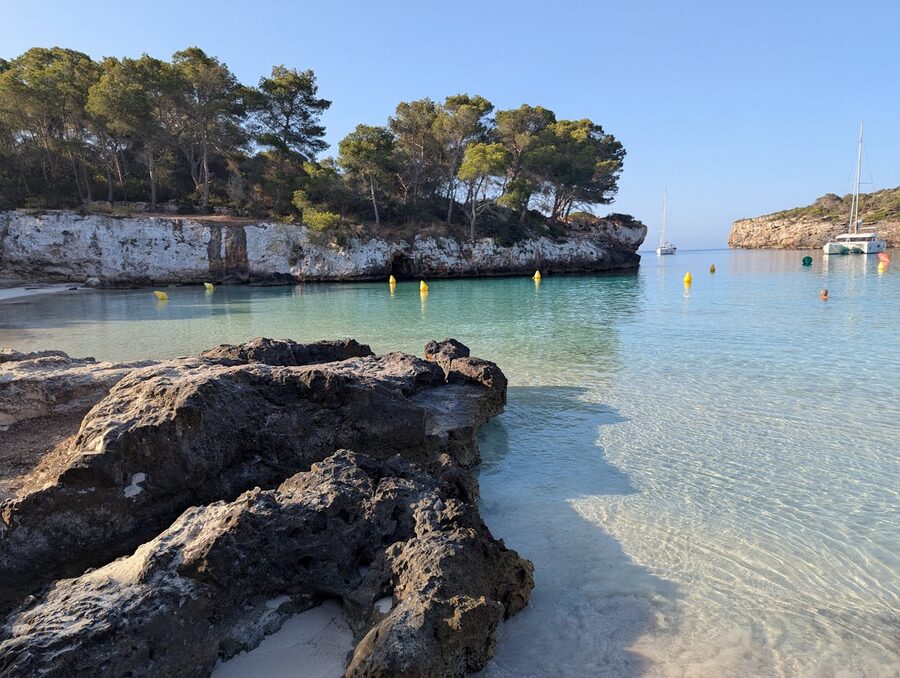 Peaceful cove with pine trees and clear water near Ciutadella de Menorca